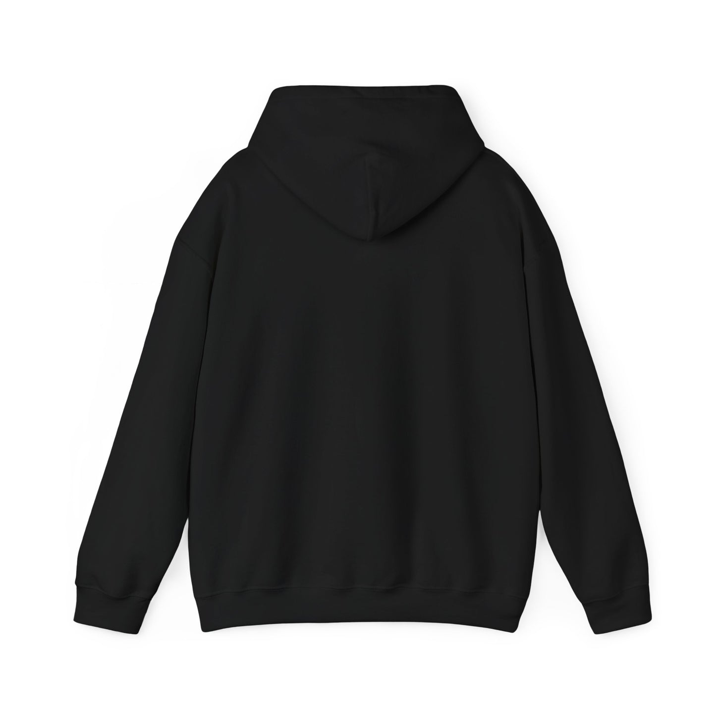 Patriotic Unisex Department of War Hoodie – Est. 2025
