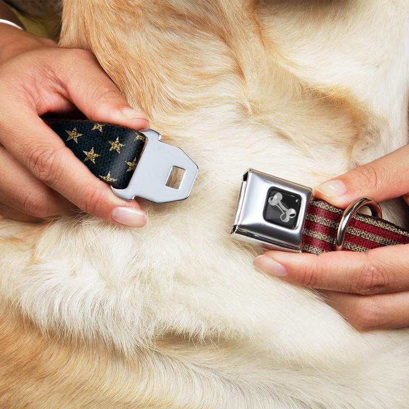 Dog Bone Seat Buckle Dog Collar - Vintage Stretched US Flag - Military Republic
