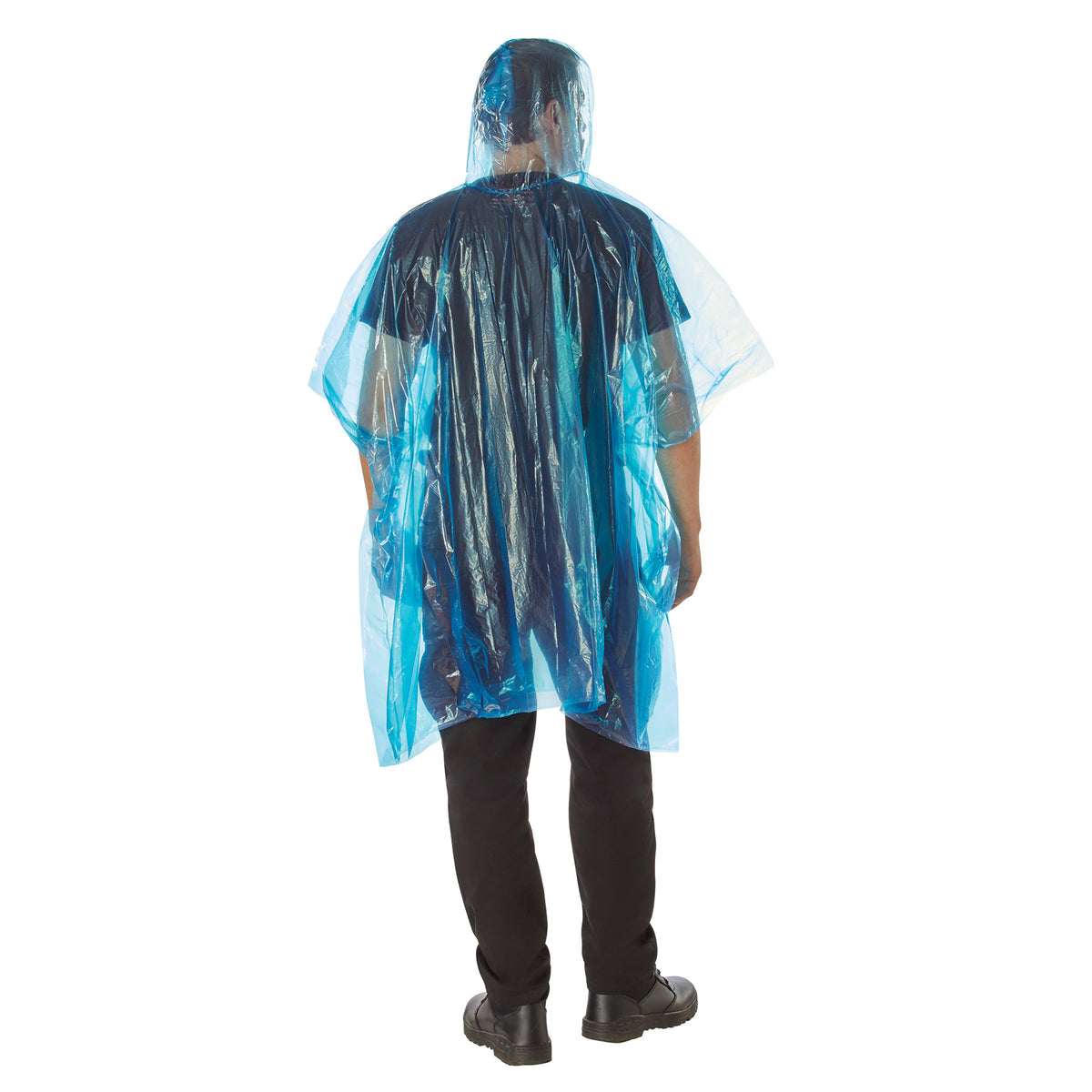 3681BLUE-BACK-B