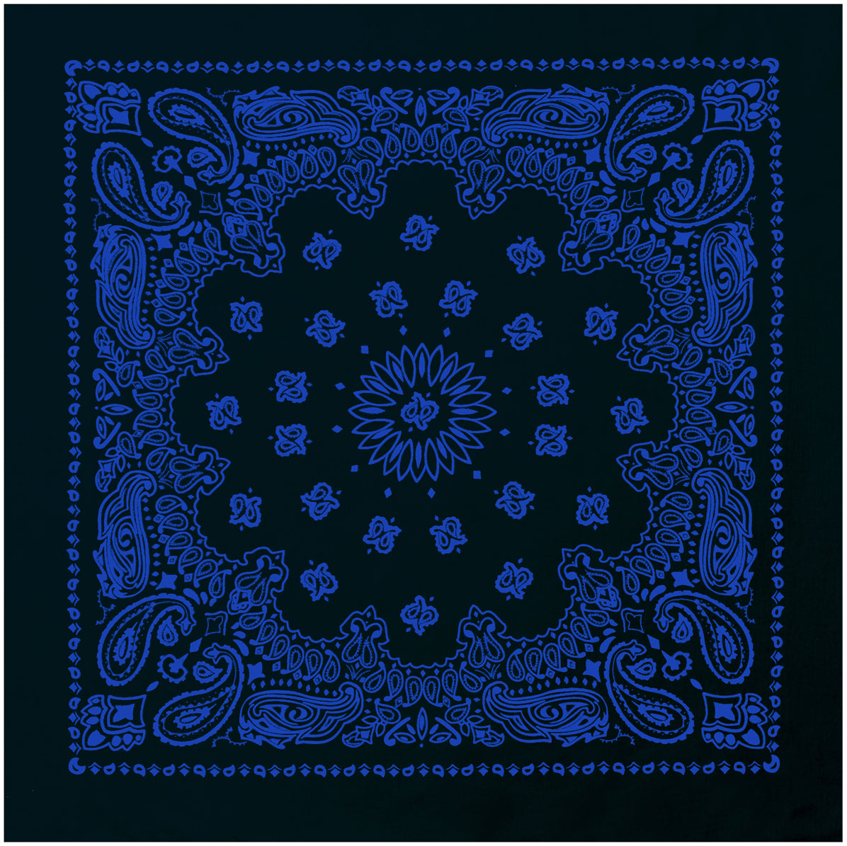 4044-Black_with_Blue-A-amazon