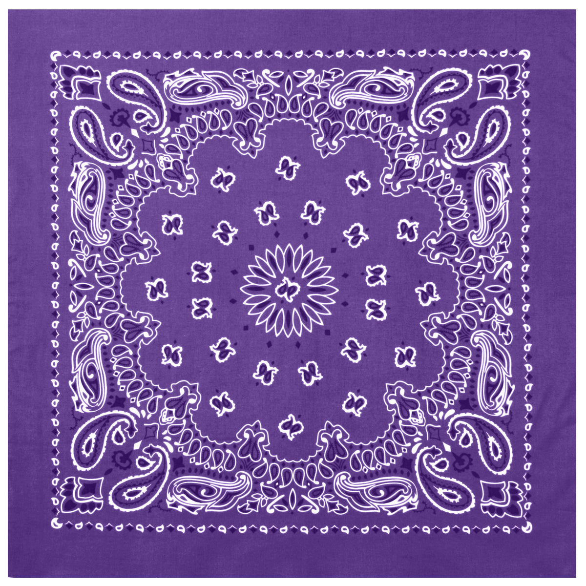 4053-Purple-amazon1
