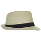 Officially Licensed U.S. Air Force Logo Fedora – view 2