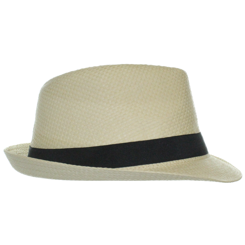 Officially Licensed U.S. Air Force Logo Fedora – view 2