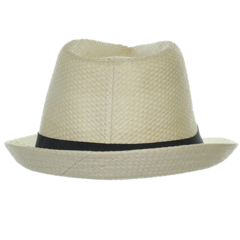 Officially Licensed U.S. Air Force Logo Fedora – view 4