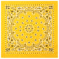 4069-Yellow-amazon