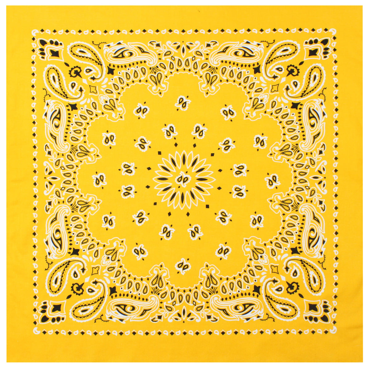 4069-Yellow-amazon