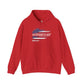 Patriotic Unisex Department of War Hoodie – Est. 2025