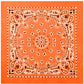 4349-Orange-A-amazon