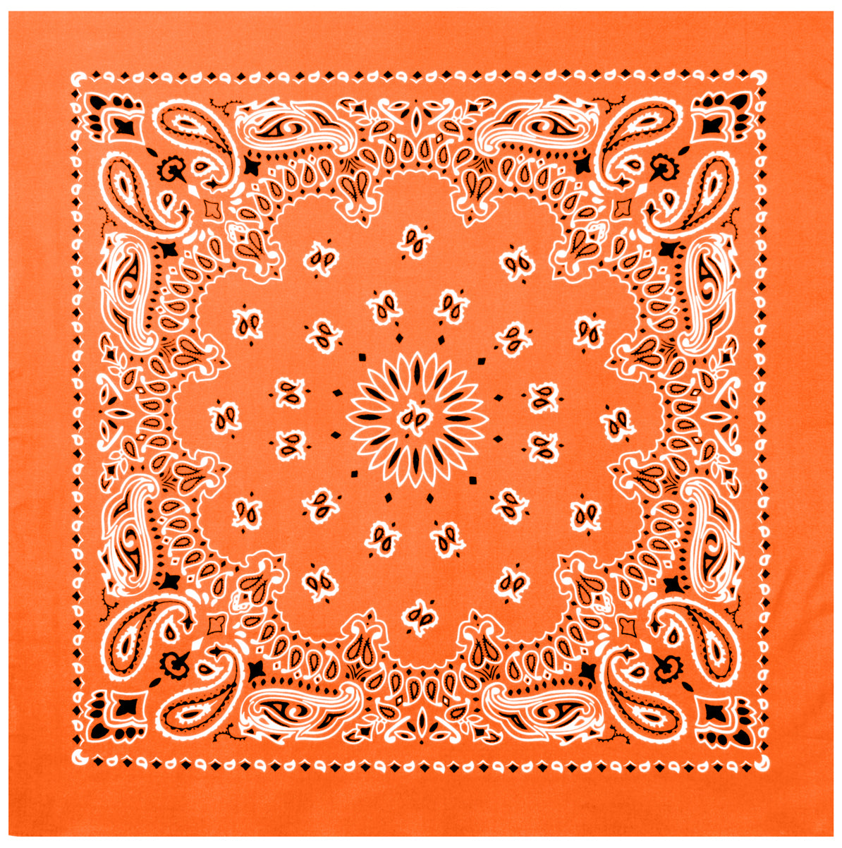 4349-Orange-A-amazon