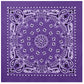 4349-Purple-A-amazon