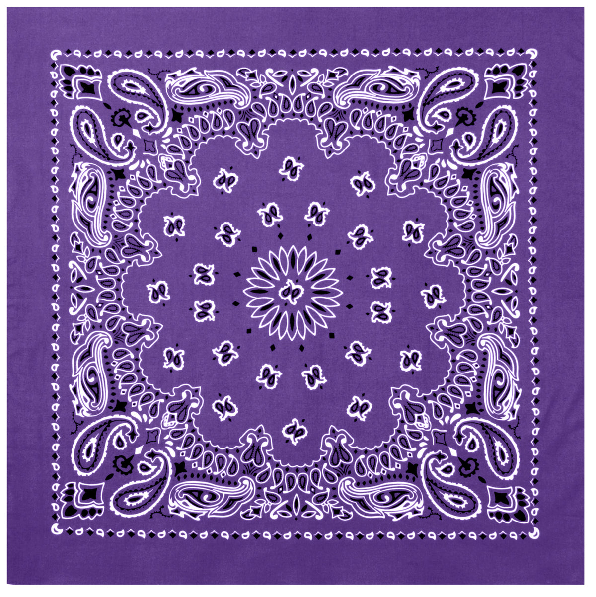 4349-Purple-A-amazon