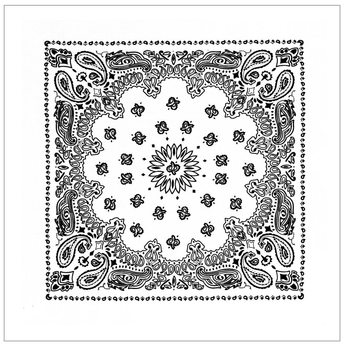 4349-White-A-amazon