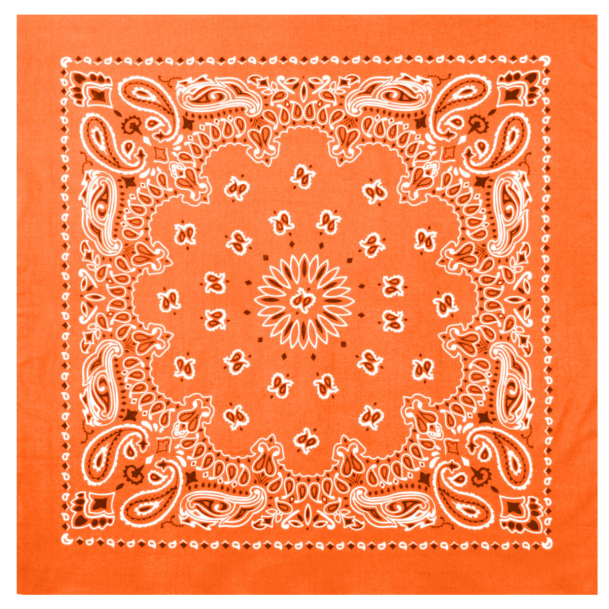 4948-Orange-amazon