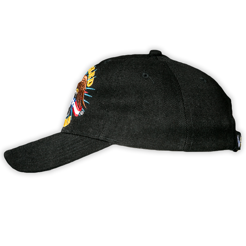 U.S. Air Force Disabled Veteran Embroidered Cap – view 3