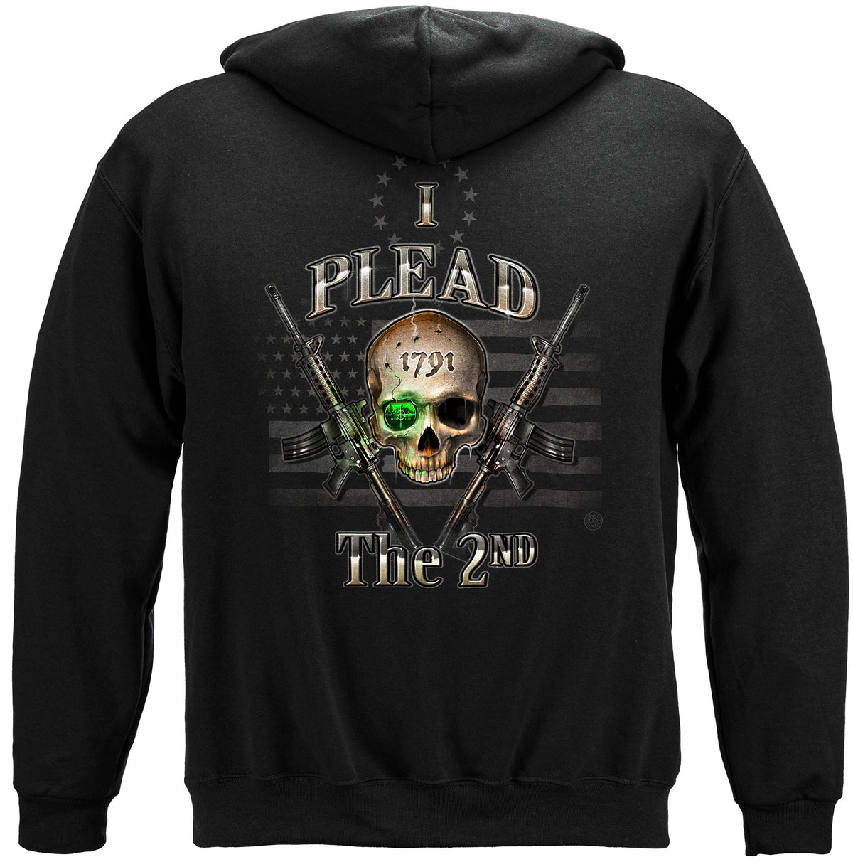 2nd Amendment I Plead the 2nd Hoodie - back view