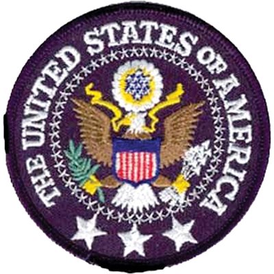 United States of America Eagle Patch – 3.5 Inch
