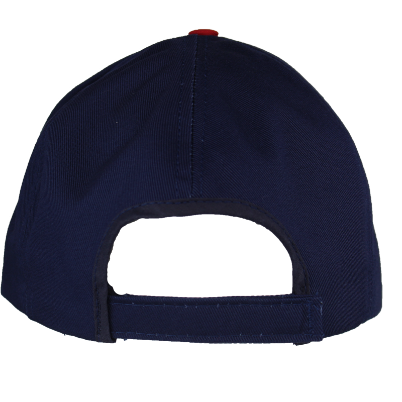 United We Stand Screen-Printed Patriotic Cap – view 3