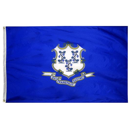 Connecticut State Nylon Outdoors Flag- Sizes 2' to 10' Length - Military Republic