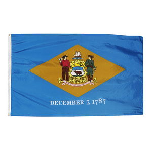 Delaware State Nylon Outdoors Flag- Sizes 2' to 10' Length - Military Republic