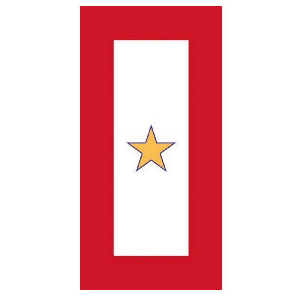 United States Military Gold Star Decal - Military Republic